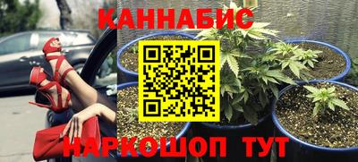 индика Каменск-Уральский