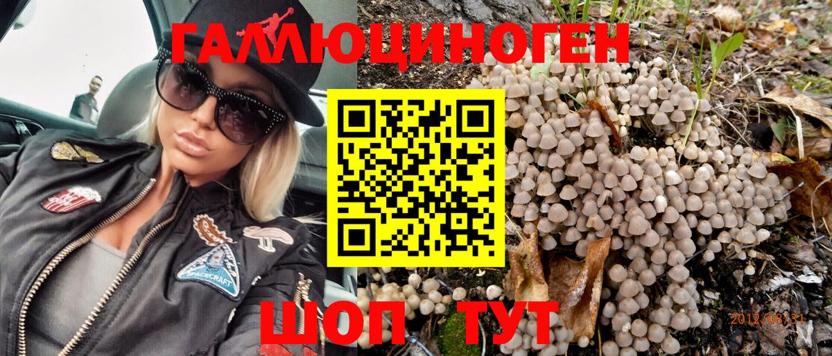 Псилоцибиновые грибы Magic Shrooms  Галлюциногенные грибы GOLDEN TEACHER  где купить наркоту  Вход с VPN  Новочебоксарск 